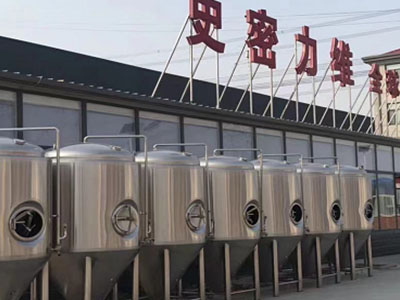 八宿精酿啤酒设备厂—如何判断精酿啤酒设备的密封件需要更换？